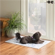 Linon Washable Zayd Polyester 2'x3' Rug in Gray