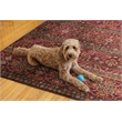 Linon Washable Wesson Polyester 5'x7' Rug in Garnet Red