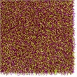 Linon Confetti Shag Polyester 8'x10' Rug in Pink and Green
