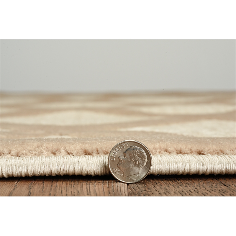 Linon Dia Lima Polypropylene 8'x10' Rug in Beige