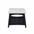 Linon Pace Coffee Table White Marble Top Wood Base/Shelf in Rustic Gray Finish