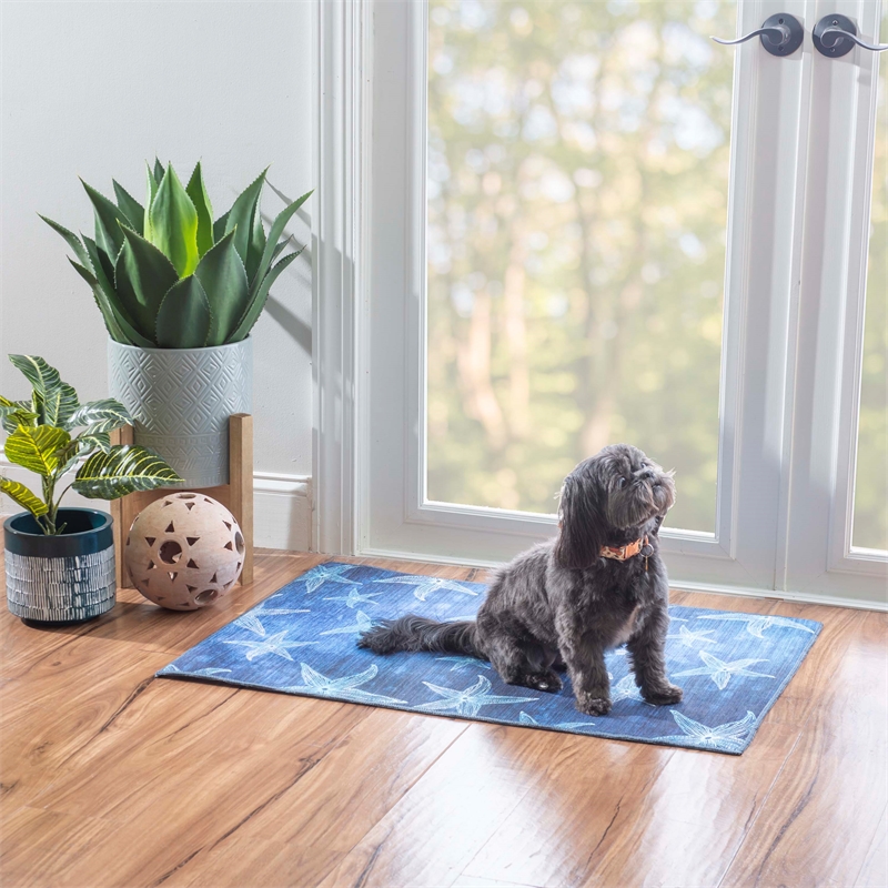 Linon Indoor Outdoor Machine Washable Bondi Accent 2'x3' Rug in Blue