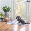 Linon Indoor Outdoor Machine Washable Conch Accent 2'x3' Rug in Ivory and Gray