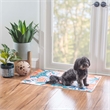 Linon Indoor Outdoor Machine Washable Marin Polyester Accent 2'x3' Rug in Ivory