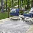 Linon Indoor Outdoor Machine Washable Skip Area 5'x7' Rug in Ivory and Blue