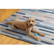 Linon Indoor Outdoor Machine Washable Bali Area 5'x7' Rug in Ivory and Blue