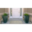 Linon Indoor Outdoor Machine Washable Apia Accent 2'x3' Rug in Ivory and Green