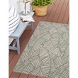 Linon Indoor Outdoor Machine Washable Apia Accent 3'x5' Rug in Ivory and Green