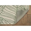 Linon Indoor Outdoor Machine Washable Apia Accent 3'x5' Rug in Ivory and Green