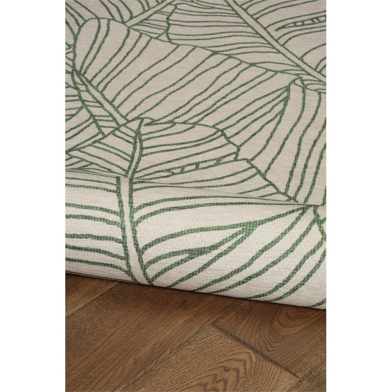 Linon Indoor Outdoor Machine Washable Apia Accent 3'x5' Rug in Ivory and Green