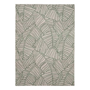 Linon Indoor Outdoor Machine Washable Apia Accent 3'x5' Rug in Ivory and Green