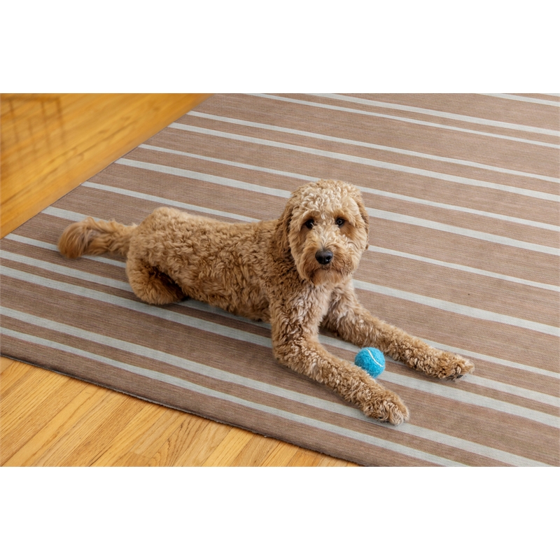Linon Indoor Outdoor Machine Washable Sydney Area 5'x7' Rug in Tan and Ivory