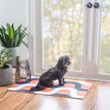 Linon Indoor Outdoor Machine Washable Adira Accent 2'x3' Rug in Orange/Pink