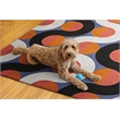 Linon Indoor Outdoor Machine Washable Adira Area 5'x7' Rug in Orange and Pink