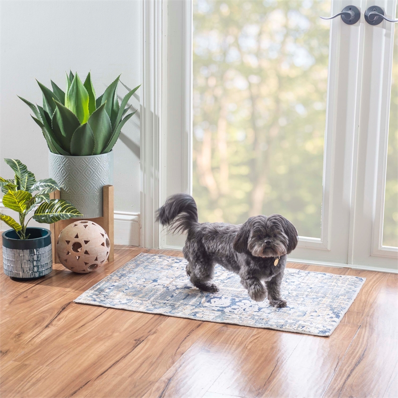 Linon Indoor Outdoor Machine Washable Anthia Accent 2'x3' Rug in Navy and Sand