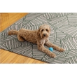 Linon Indoor Outdoor Machine Washable Apia Area 7'x9' Rug in Ivory and Green