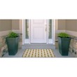 Linon Indoor Outdoor Machine Washable Lucia Polyester Accent 2'x3' Rug in Ivory