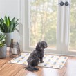 Linon Indoor Outdoor Machine Washable Lucia Polyester Accent 2'x3' Rug in Ivory