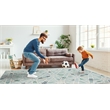 Linon Indoor Outdoor Machine Washable Baffin Area 7'x9' Rug in Green and Ivory