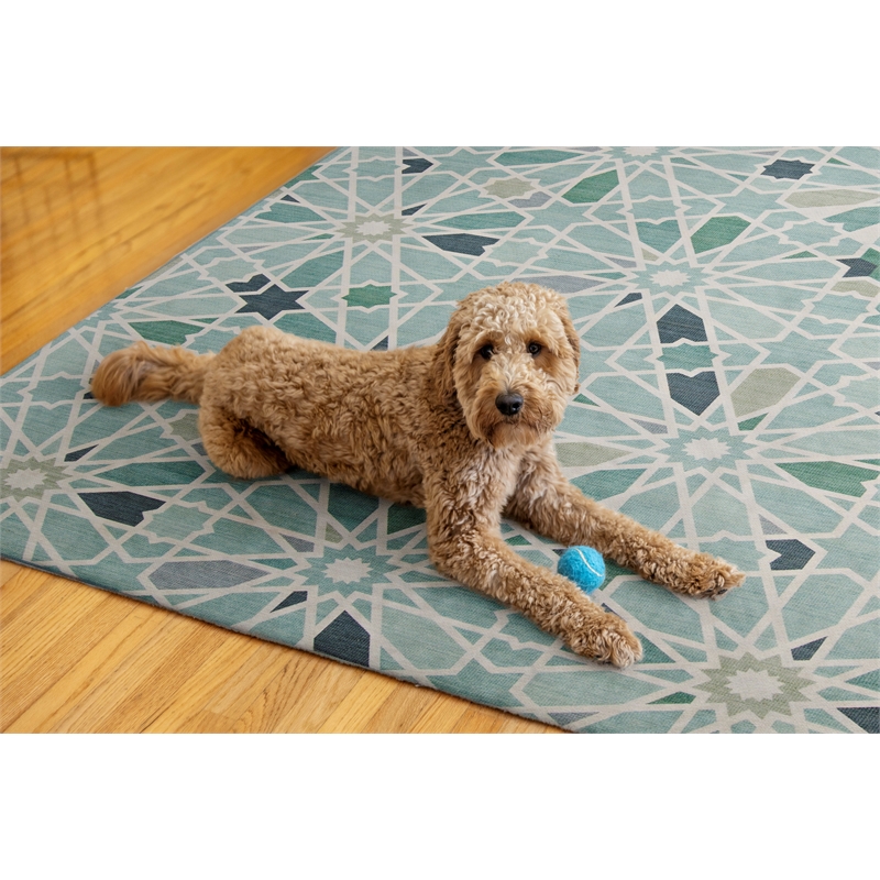 Linon Indoor Outdoor Machine Washable Baffin Area 7'x9' Rug in Green and Ivory