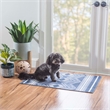 Linon Indoor Outdoor Machine Washable Danton Accent 2'x3' Rug in Navy