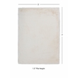 Linon Maven Faux Rabbit Polyester 5'x7' Area Rug in White
