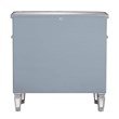 Linon Mason Mirrored Wood One Drawer Two Door Console Table in Gray