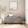 Linon Carmen Upholstered Tufted Shoe Storage Ottoman in Gray Microfiber