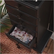 Linon Esther Distressed Wood Jewelry Armoire in Ebony Black