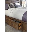 Magnussen Bay Creek Traditional Toasted Nutmeg Queen Panel Bed with Storage