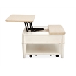 Salt Life Home Echo Isles Lift Top Storage Cocktail Table With Casters