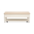 Salt Life Home Echo Isles Lift Top Storage Cocktail Table With Casters