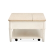 Salt Life Home Echo Isles Lift Top Storage Cocktail Table With Casters