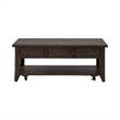 Paradise Valley Lift Top Cocktail Table in Brown