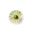 Alfresco Home Daisy Ceramic Bird Bath in Green