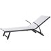2 Chaise Lounges