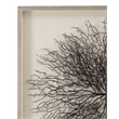 Black Sea Fan Silver Resin Frame Shadow Box Wall Art