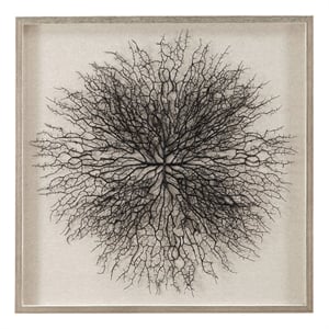 Black Sea Fan Silver Resin Frame Shadow Box Wall Art