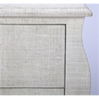 Butler Specialty Felicia Raffia Accent Chest In White