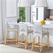 Butler Specialty Creanly Rattan  Counter Stool