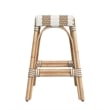 Butler Specialty Company Robias Rattan 24.5