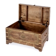 Butler Specialty Company Nador Wood Storage Trunk Coffee Table In Brown