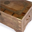Butler Specialty Company Nador Wood Storage Trunk Coffee Table In Brown