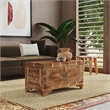 Butler Specialty Company Nador Wood Storage Trunk Coffee Table In Brown