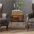 Butler Specialty Hors D'Oeuvres Spirit 3 Piece Iron Storage Trunk Set