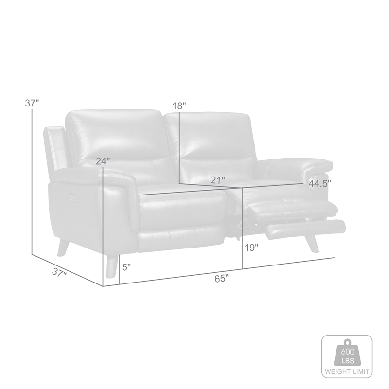 Armen Living Lizette Contemporary Genuine Leather Loveseat in Espresso