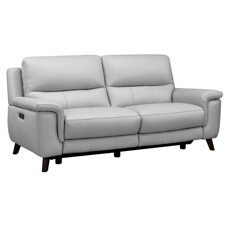 Armen Living Lizette Contemporary Genuine Leather Sofa in Espresso