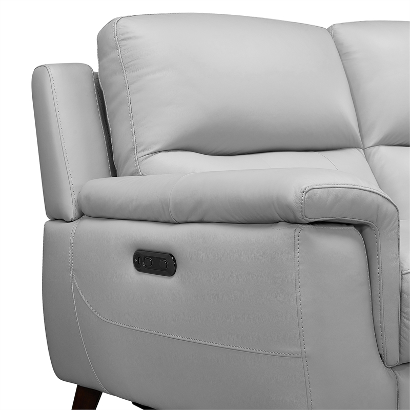 Armen Living Lizette Contemporary Genuine Leather Sofa in Espresso