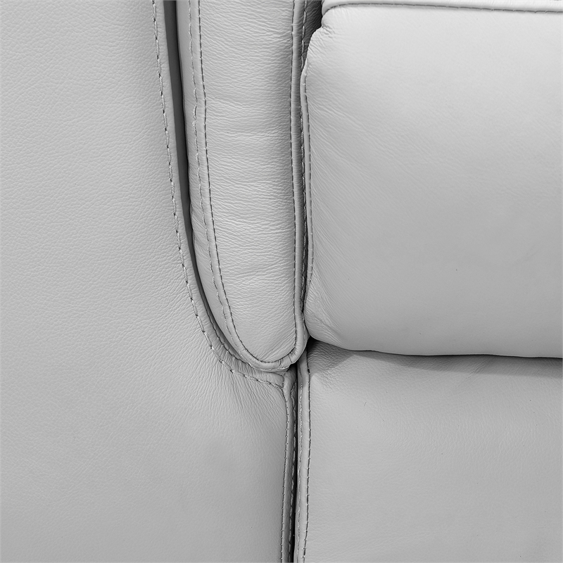 Armen Living Lizette Contemporary Genuine Leather Sofa in Espresso