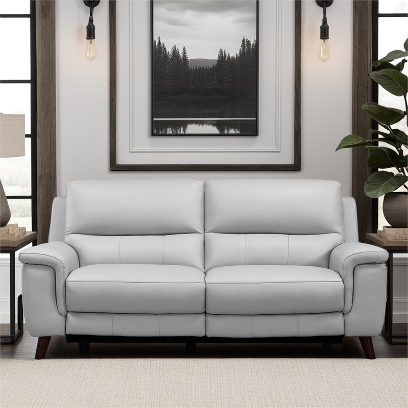 Armen Living Lizette Contemporary Genuine Leather Sofa in Espresso